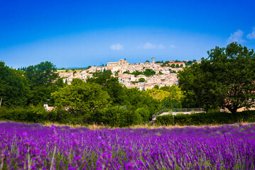 Plakat Typical view of provencal village with lavenders