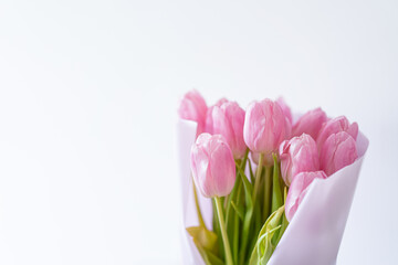 Pink tulips on a white background. Beautiful Card for Mother's Day or Women's Day.
