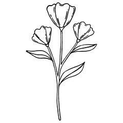 Flower line art hand painted for greeting card decoration and invitation card.