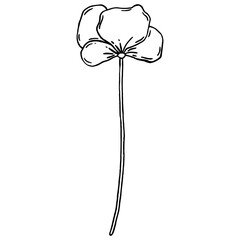 Flower line art element for greeting card decoration and invitation card.