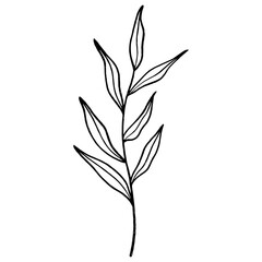 Fototapeta premium Floral leaf element for wedding card, invitation card, poster, logo design and more.