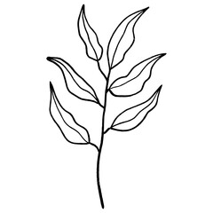 Floral leaf element for wedding card, invitation card, poster, logo design and more.