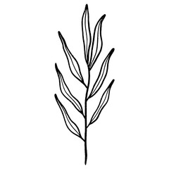 Fototapeta premium Floral leaf element for wedding card, invitation card, poster, logo design and more.