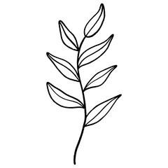 Floral leaf element for wedding card, invitation card, poster, logo design and more.
