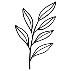 Floral leaf element for wedding card, invitation card, poster, logo design and more.