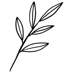 Floral leaf element for wedding card, invitation card, poster, logo design and more.