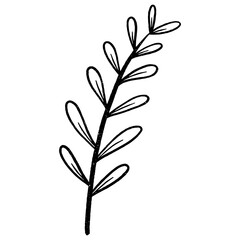 Floral leaf element for wedding card, invitation card, poster, logo design and more.