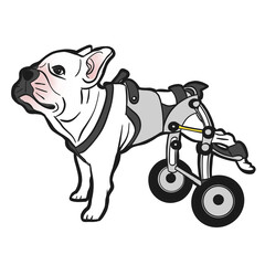 Dog wheelchair pet leg disability
