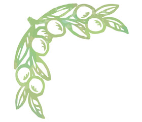 オリーブの実と葉を使った、フレーム用のコーナ。水彩風、ベクター素材。