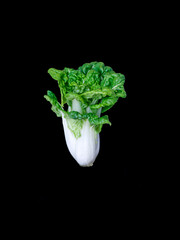 fresh vegetable in the blackground