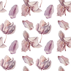 Seamless pattern watercolor pink orchid with petals on white background. Botanical herbaria. Purple dry flower for florist sticker or card. Art for wallpaper or wrapping. Exotic for sketchbook