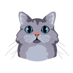 cat face illustration