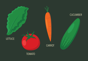 Fresh Garden Vegetable Vector Illustration on Dark Green Background