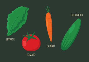 Fresh Garden Vegetable Vector Illustration on Dark Green Background