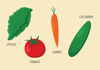 Fresh Garden Vegetable Vector Illustration on Light Background