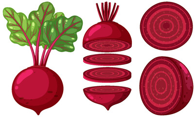 Set of beetroot cartoon