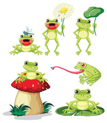 Fototapeta premium Smiling Green Frog Cartoon Characters