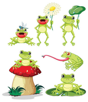Smiling Green Frog Cartoon Characters