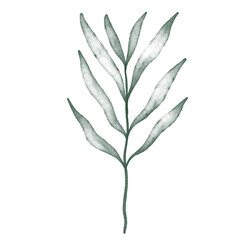 Obraz premium Green watercolor leaf hand painted for greeting card decoration and invitation card.