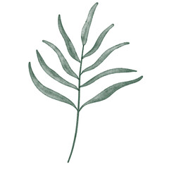 Green watercolor leaf hand painted for greeting card decoration and invitation card.