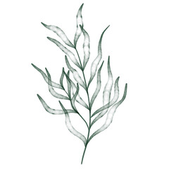 Green watercolor leaf hand painted for greeting card decoration and invitation card.