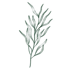 Obraz premium Green watercolor leaf hand painted for greeting card decoration and invitation card.