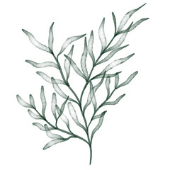 Fototapeta premium Green watercolor leaf hand painted for greeting card decoration and invitation card.