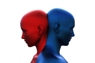 3d render. Merger of a male blue head and a red female head on a white background. 