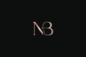 NB letter minimal with golden typography minimal brand logo design, nb elegant logo, nb luxury icon  - obrazy, fototapety, plakaty