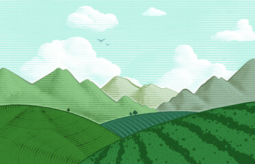 Engraved tea plantation landscape