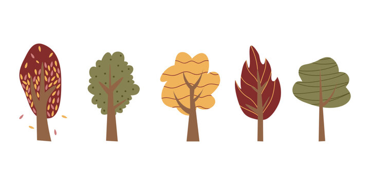 Cartoon tree illustration. Vector illustration of autumn trees on a white background.