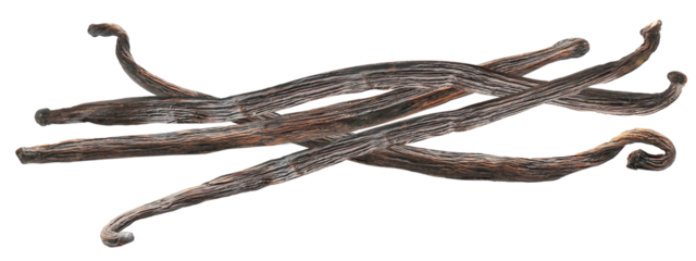 Vanilla sticks isolated. Png transparency