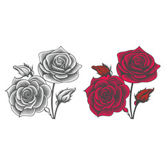 Beautiful Roses Coloring Page Vector using the invitation card and child coloring book.