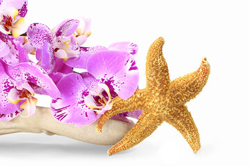 Orange starfish on white stone vase tray with purple orchid on white isolated background. Aesthetic photography. Travel, summer, relaxation, bath, spa. Copy space