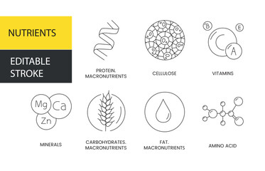 Nutrients vector line icon, illustration of protein and fiber, vitamins and minerals, carbohydrates and fats, amino acids and macronutrients. Editable stroke - obrazy, fototapety, plakaty