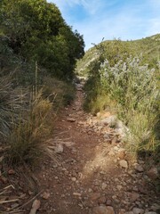 sendero, Olesa de Montserrat, excursión, ejercicio, solitario, barcelona, catalunya, camino, senda, ronda, viaje, viajar, vacaciones, en forma, vegetación