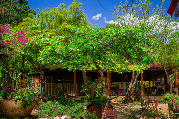 tropical garden with house