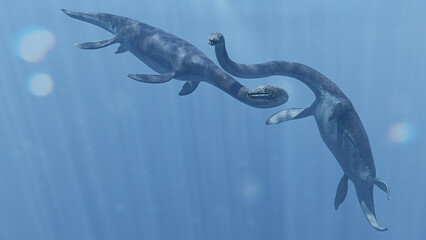 Elasmosaurus, majestic plesiosaur couple swimming together in the prehistoric ocean