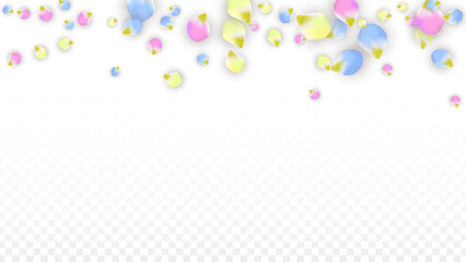 Vector Realistic Colorful Petals Falling on Transparent Background.  Spring Romantic Flowers Illustration. Flying Petals. Sakura Spa Design. Blossom Confetti. Design Elements for Wedding Decoration.