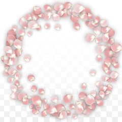 Pink Vector Realistic Petals Falling on Transparent Background.  Spring Romantic Flowers Illustration. Flying Petals. Sakura Spa Design. Blossom Confetti. Design Elements for Wedding Decoration.