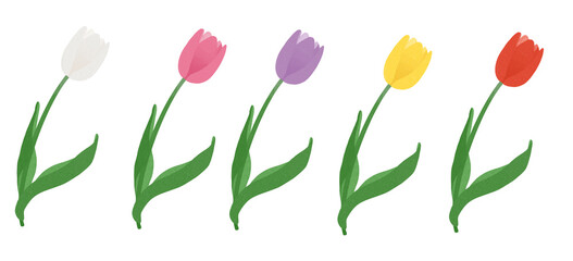 カラフルなチューリップのイラストセット