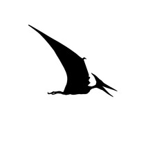 Pterodactyl  flying seagull silhouette