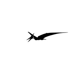Fototapeta premium Pterodactyl silhouette of a flying eagle