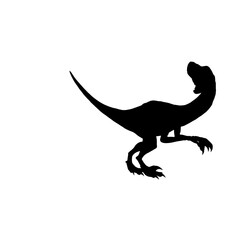 Velociraptor  dinosaur isolated on white 2