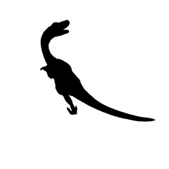 Velociraptor  dinosaur isolated on white