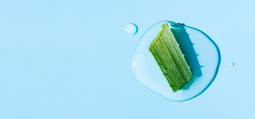 banner aloe vera on a light blue background round drops top view with place for text - obrazy, fototapety, plakaty