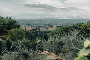 Fototapeta na wymiar Beautiful view of ancient San Gimignano, Tuscany landscape and landmarks. Summer in Italy