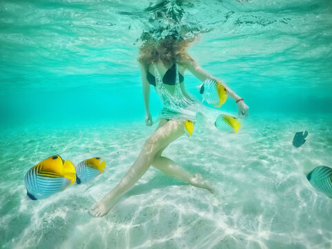 A beautiful girl among the inhabitants of the Indian Ocean. Undersea world. Coral fish. Fish swim around the girl's beautiful legs. Under the water. Beautiful sea. colorful ocean fish