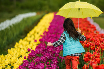A girl with a yellow umbrella run on a trail along a field of tulips. Kid wearing blue tank top....