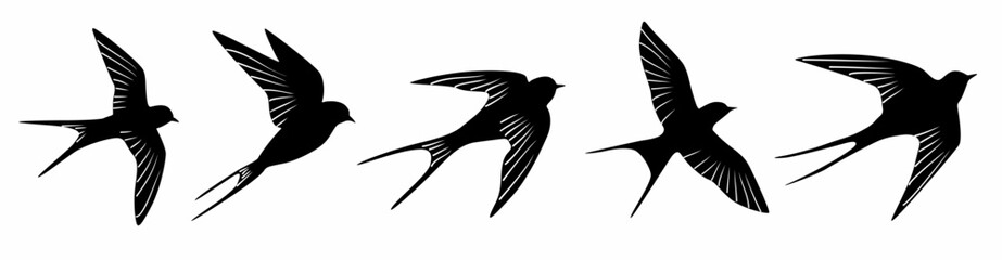 Bird silhouettes, collection of bird silhouettes on white background